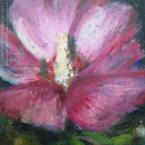 742_Hibiscus_H30xL24_M_onHibiscus.jpg - 48/56