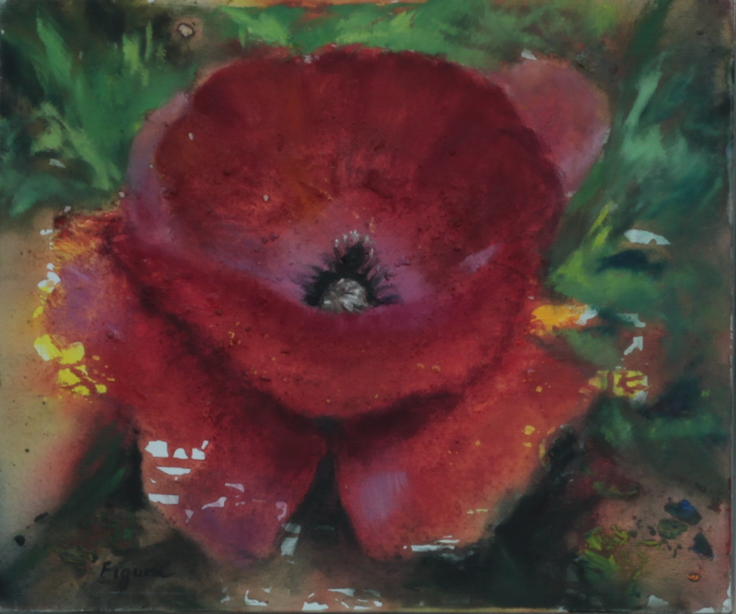 Xxxxxsixe - Galeries Photos | FLEURS | 736.10_Coquelicot_HA_h46x55_on736.10 ...